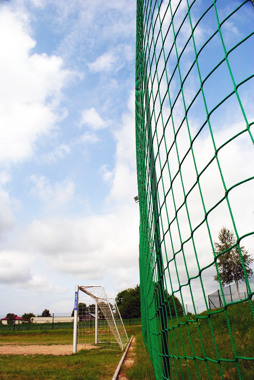 数篮球巨星 数篮球巨星