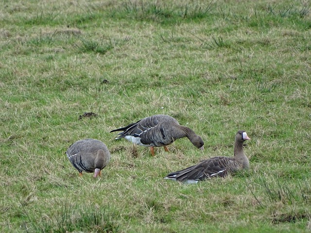 懂得珍视自 懂得珍视自