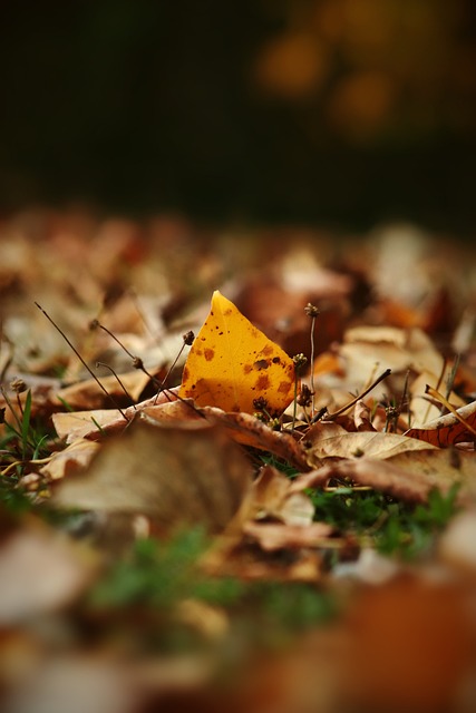 它要求体验 它要求体验