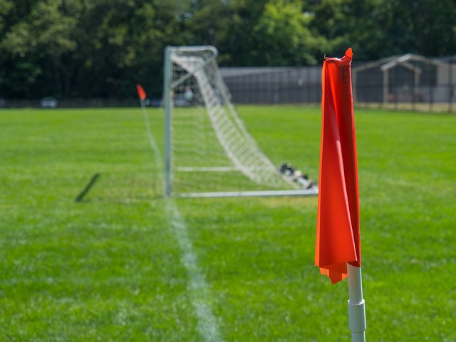 正是这份 正是这份